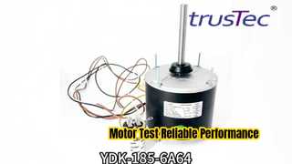 Changzhou Trustec YDK-185-6A64 condensorventilatormotortest.